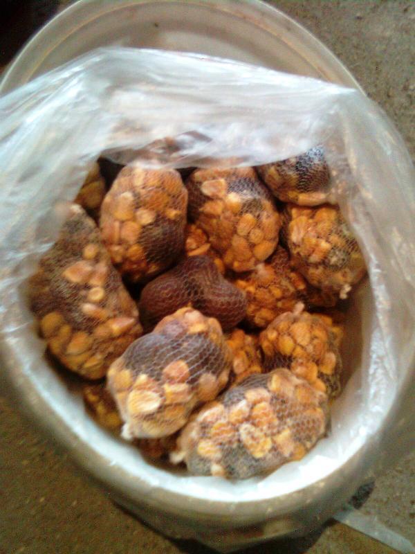 pentru delta - imagine0204.jpg